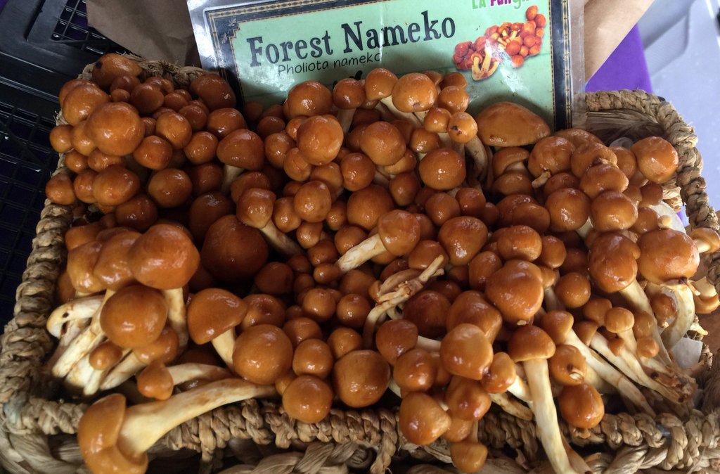 Gorgeous mushrooms on display at Hollywood Farmers Market.