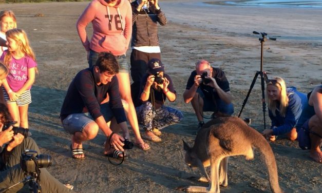 Where can you have a kangaroo beach sunrise?