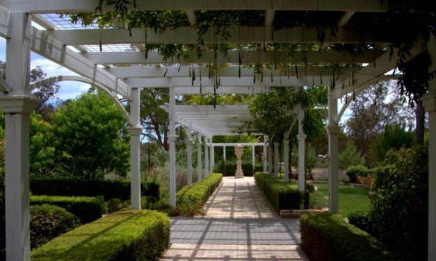 Who has the best gardens on the Granite Belt?