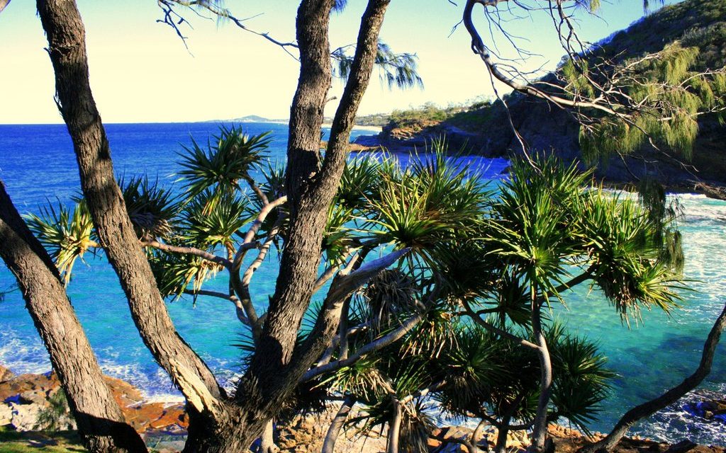 10 reasons why you should visit Sunshine Coast