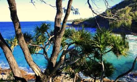 10 reasons why you should visit Sunshine Coast