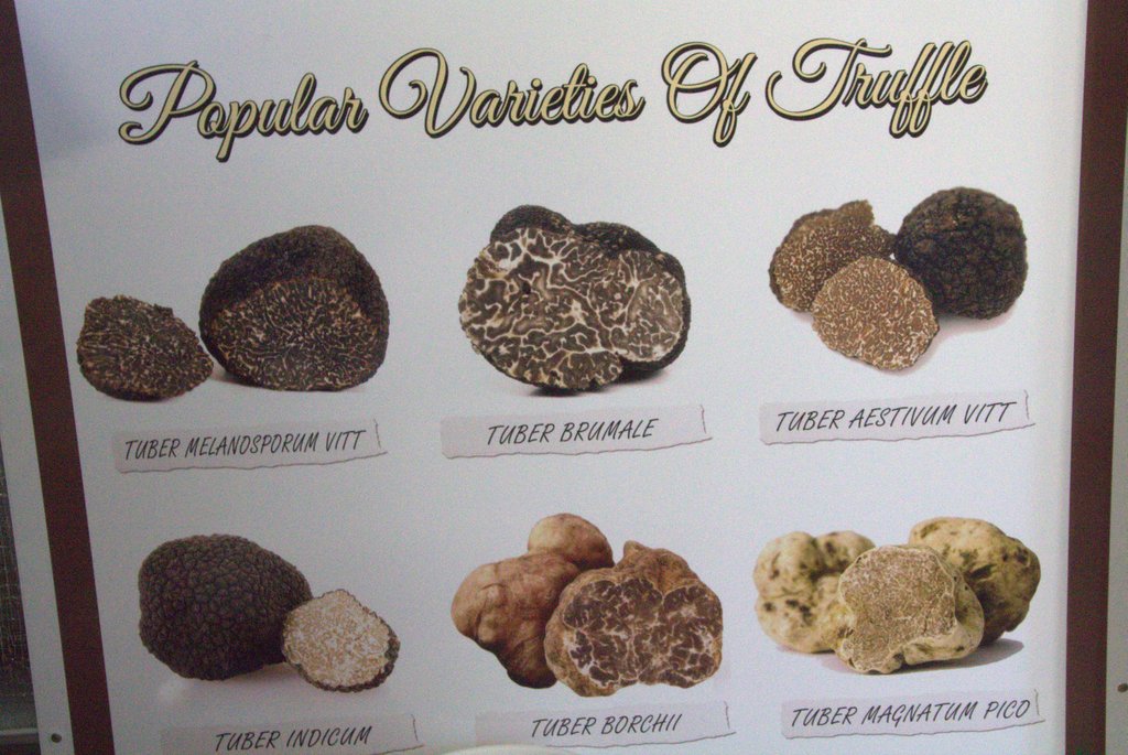 Truffle types.