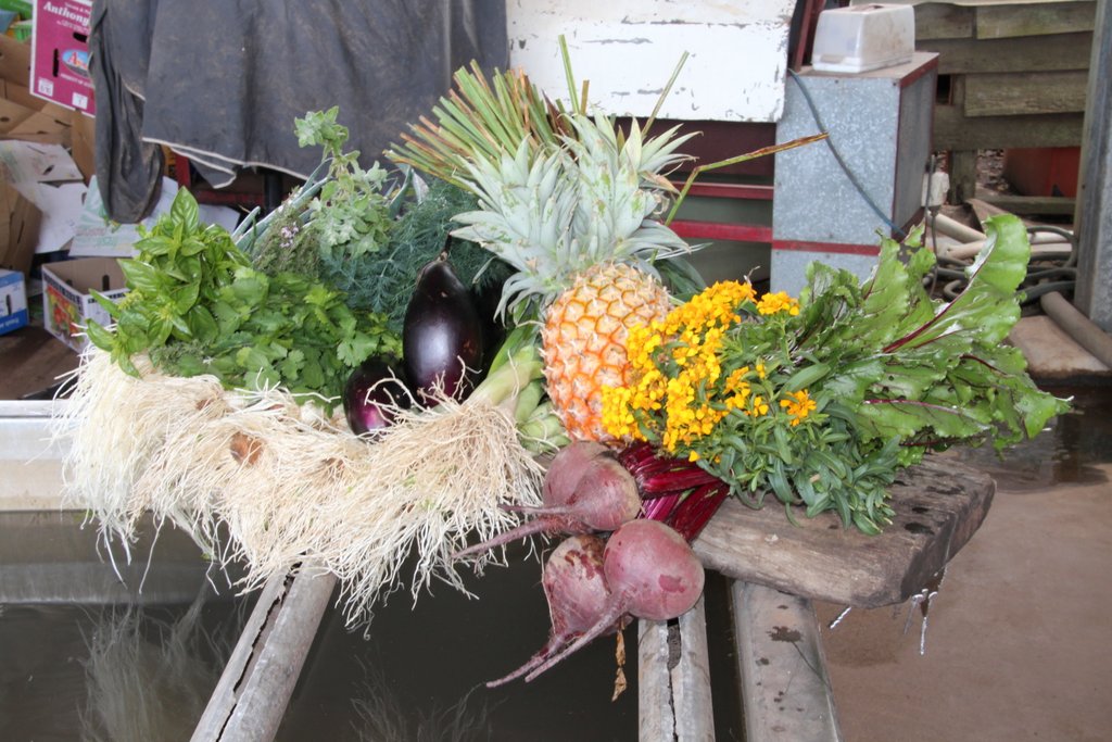 Beautiful produce from roadside stalls around Bundaberg.