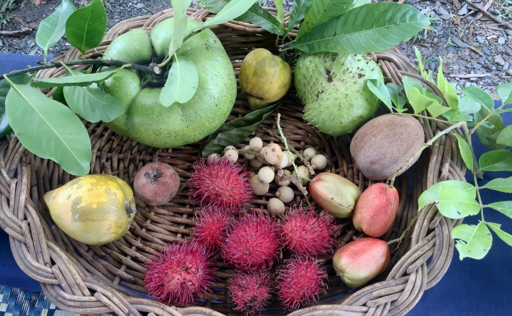 Tropical fruit finds at Mossman Market 