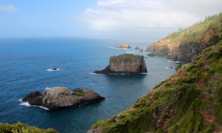 The 7 Biggest Norfolk Island Long Weekend Blunders