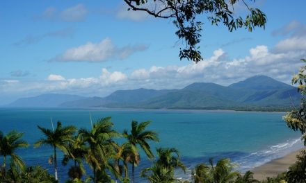 Why a five day Cairns to Cape Tribulation Great Barrier Reef Drive Will Change Your Life