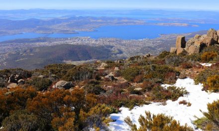 Be dazzled by the snow on Mount Wellington Hobart