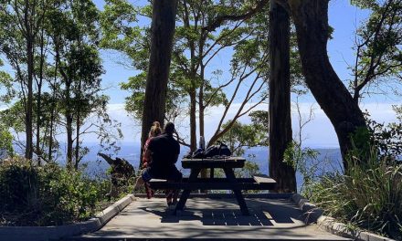 Which Brisbane Picnic Spot is Perfect for You?