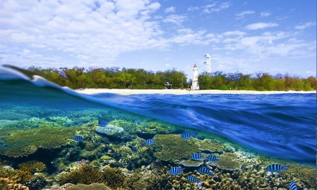 Discover Australia’s Best Kept Secret: Lady Elliot Island Day Trip