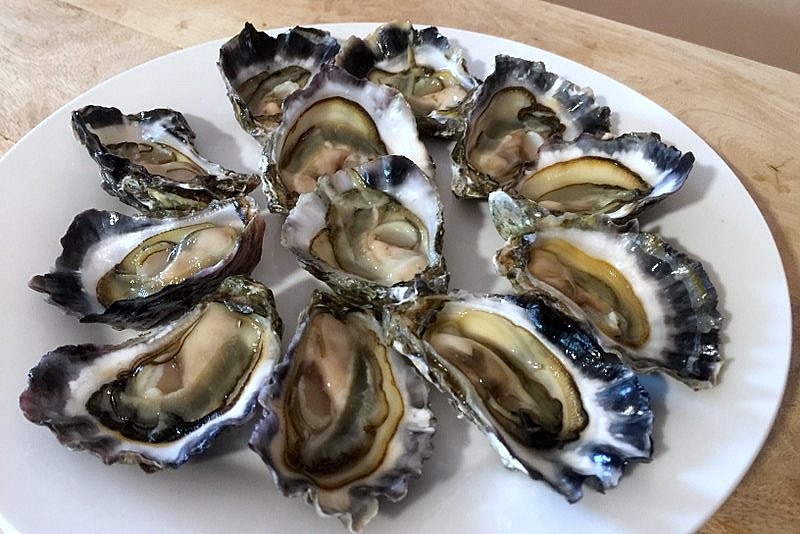 Diabla Oysters