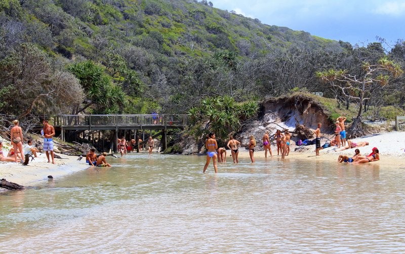 Things to do on Fraser Island Eli Creek