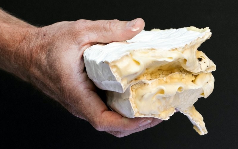 Feast on Brisbane September 21 Cheese Therapy