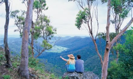 Scenic Rim Walks Worth Lacing Up Your Boots For