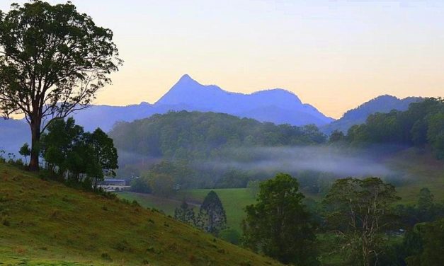 Why your next escape should be to Murwillumbah
