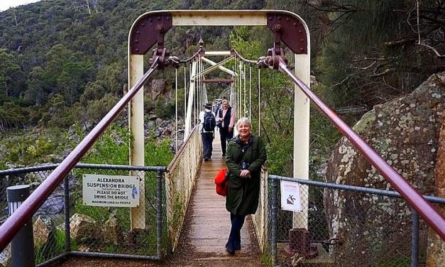 Hidden Gems and Popular Attractions: 12 Things to Do in Launceston