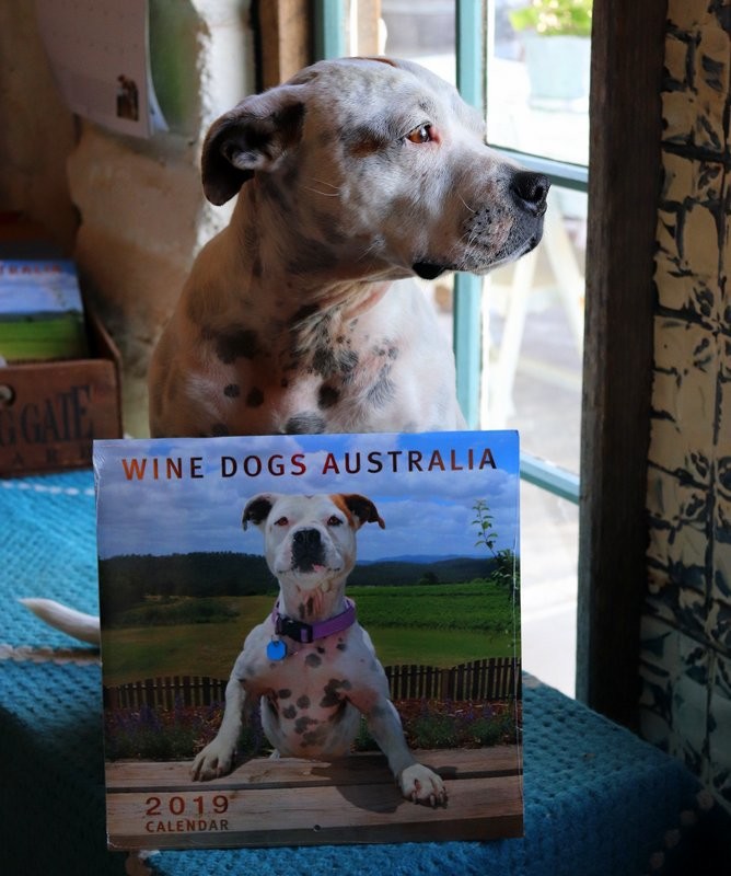 winery dog