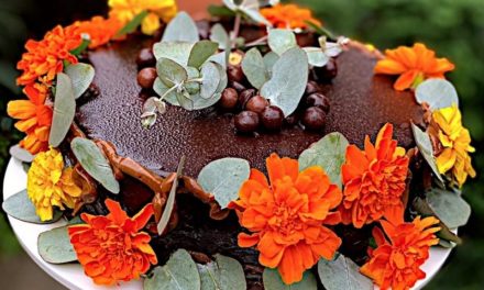 Easy Double Dark Chocolate Mud Cake
