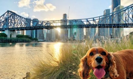 The best of Brisbane on a budget
