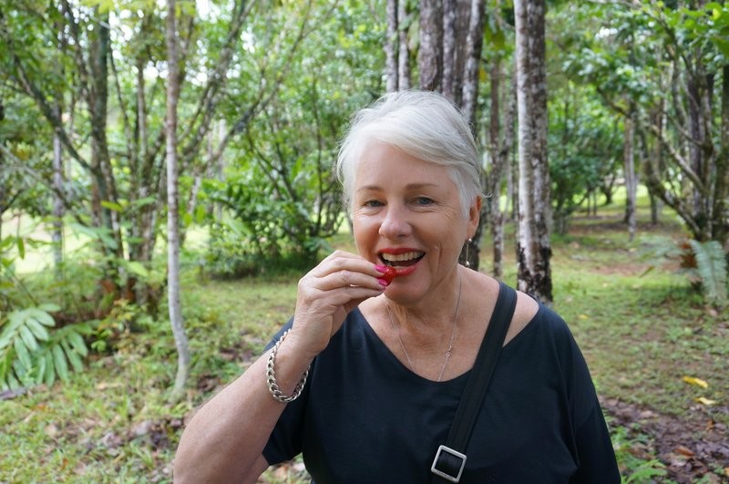 Cairns food tour tasting at Rainforest Heart