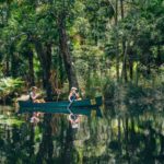 Epic Noosa Escapades: Your Go-To List of the Most Amazing Things to Do in Noosa