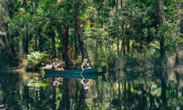 21 Amazing Things To Do In Noosa
