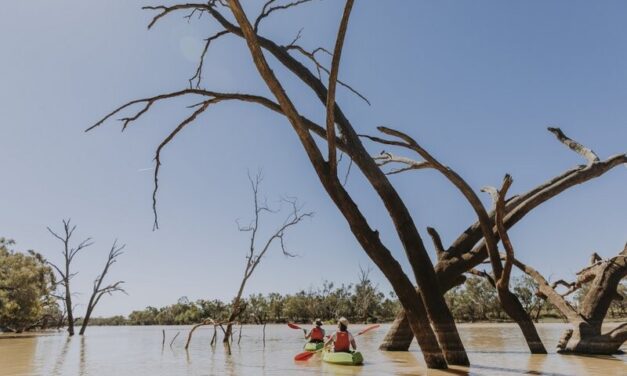 Where to go Fishing in Outback Queensland