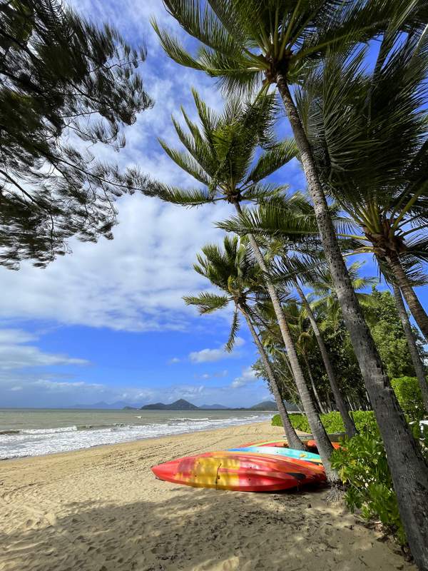 Things to do in Palm Cove kayaks on the beach