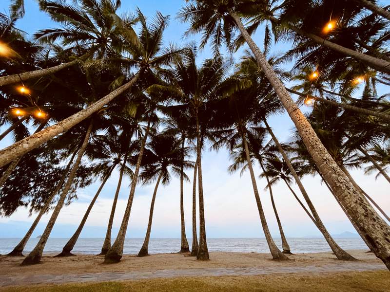 things to do in Palm Cove
