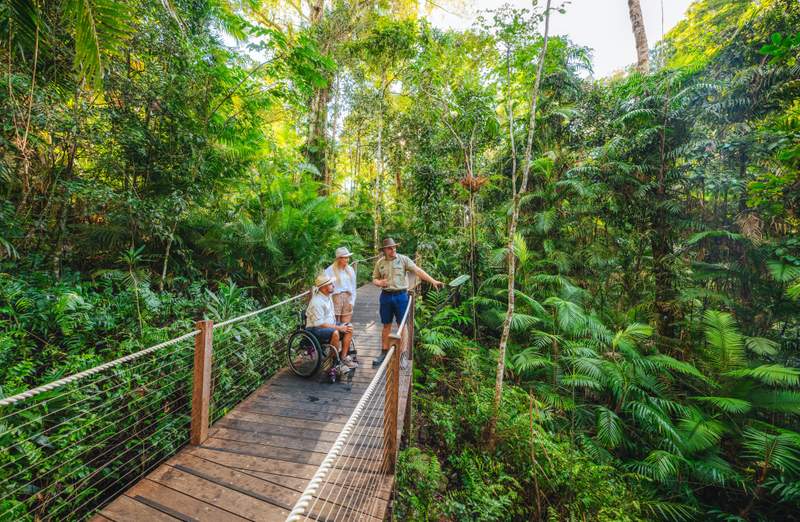 Skyrail Rainforest Cableway accessible travel