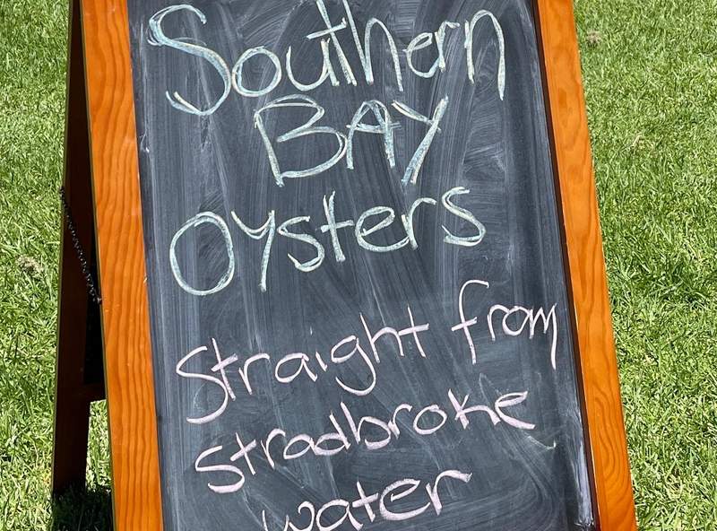 Fresh Moreton Bay oysters