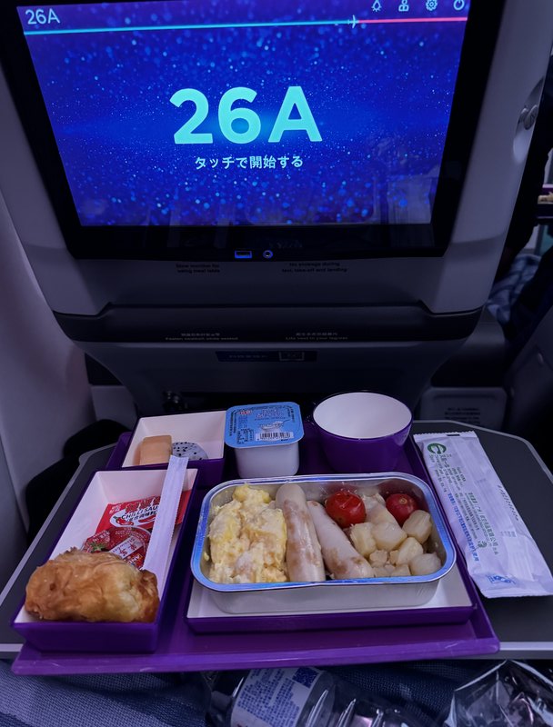 Seat tray - Premium Economy China Southern Airlines Guangzhou to Brisbane