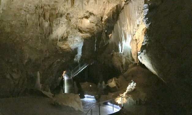 Tasmania’s Hidden Oasis & Explore Mysterious Caves: Hastings Thermal Springs